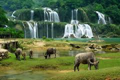 Ba Be Lake & National Park - Ban Gioc Waterfall 4 Days - 3 Nights