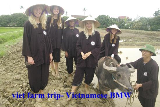 Ha Noi - Viet Farm Homestay 2 Days - 1 Night - Sleep at Viet Farm Homestay
