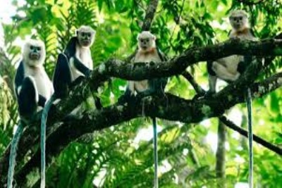 TAM COC - CUC PHUONG NATIONAL PARK 1 DAY